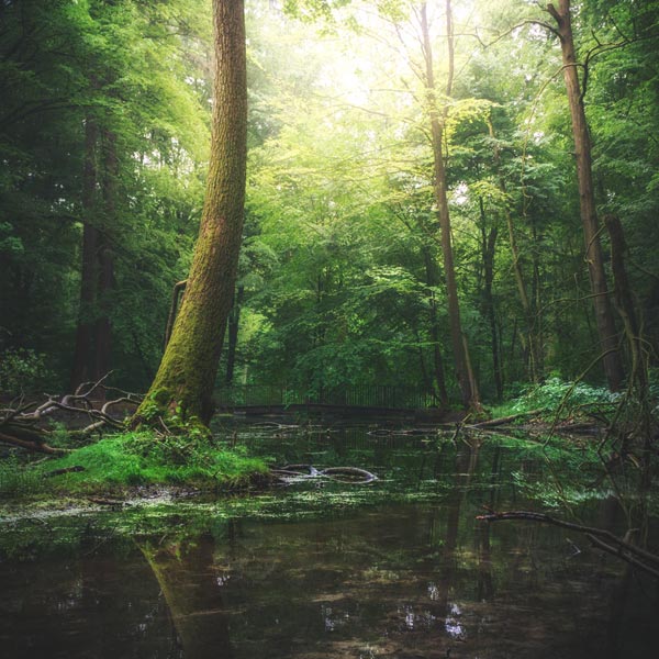 Wanderung Nonnenfliess - Juli 2018 Wanderung Nonnenfliess - Juli 2018