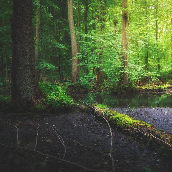 Wanderung Nonnenfliess - Juli 2018 Wanderung Nonnenfliess - Juli 2018